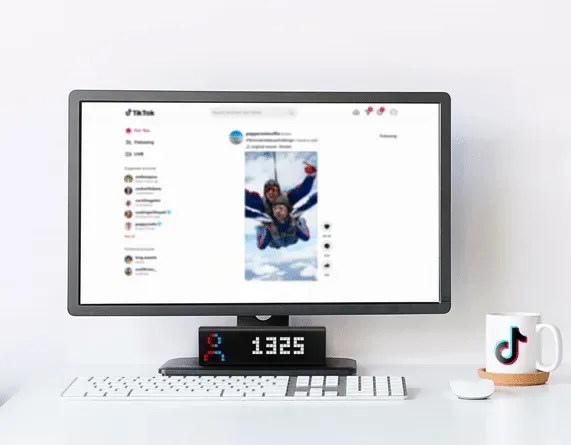 TikTok Follower Count at a Glance!